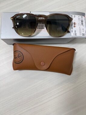 Ray-Ban Classic Brown Sunglasses with Case rb 2203